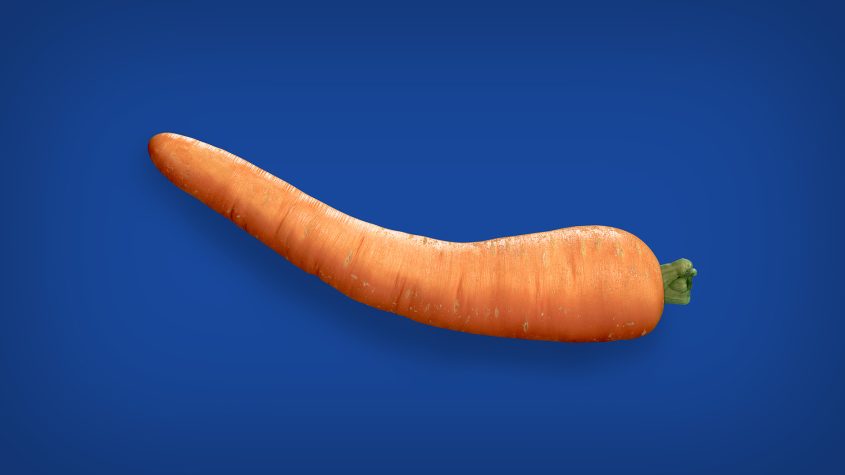 penile curvature disease